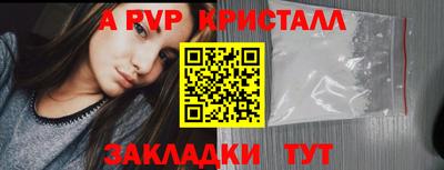 прущие грибы Нальчик