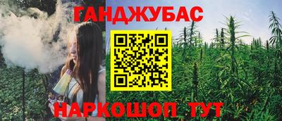 прущие грибы Нальчик