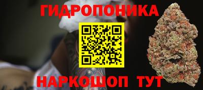 прущие грибы Нальчик