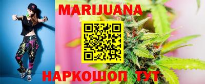 прущие грибы Нальчик