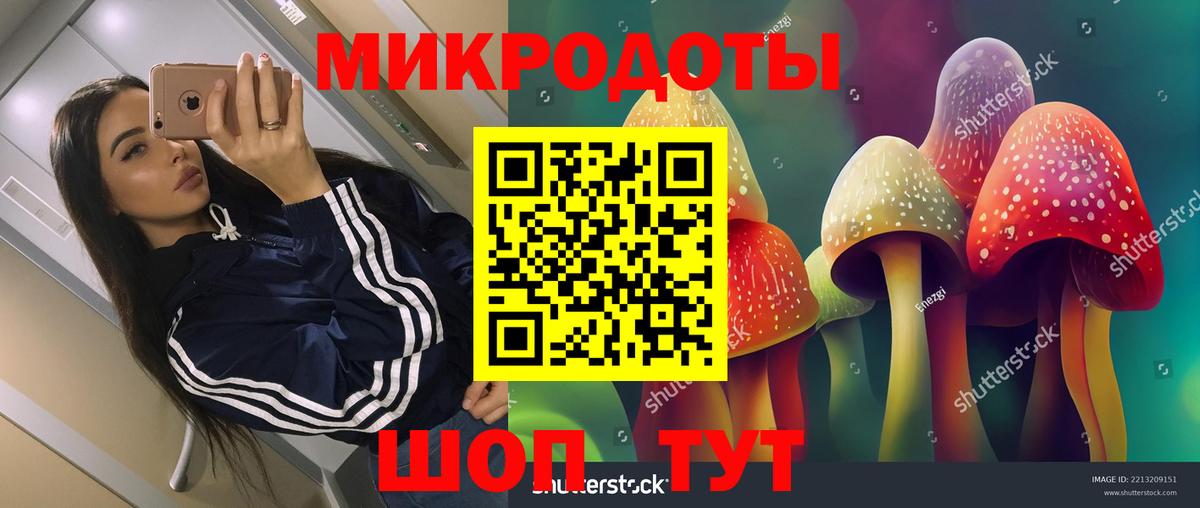 хочу   Вход с VPN  Тимашёвск  Псилоцибиновые грибы ЛСД 